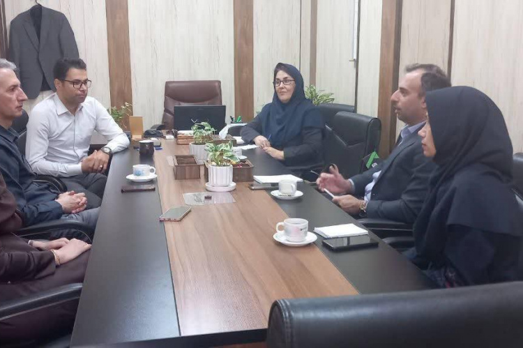 جلسه همکاری معاون آموزشی سازمان جهاد دانشگاهی گیلان با معاونت توانبخشی و معاونت توسعه کارآفرینی، اشتغال و توانمند سازی سازمان بهزیستی استان گیلان